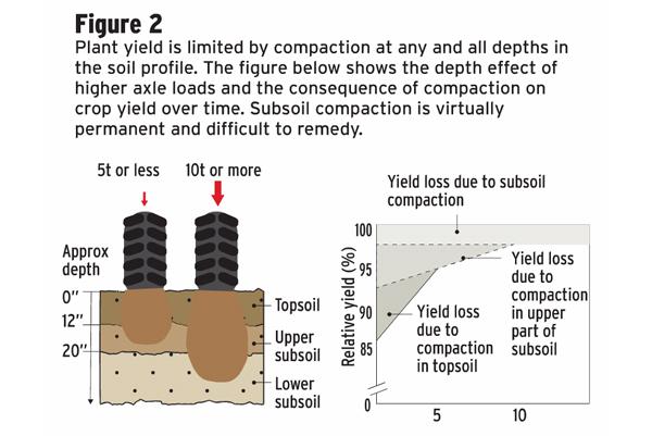 Mind your soil to protect your future Mind your soil to protect your future