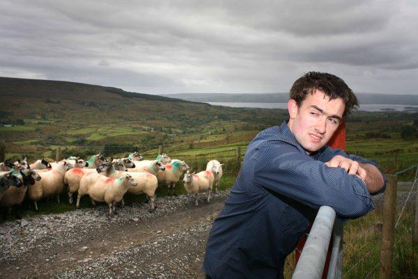 Assessing the impact of the budget – case studies Assessing the impact of the budget – case studies