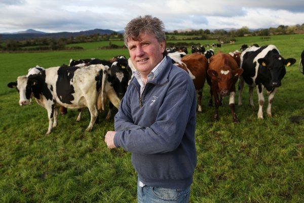 Assessing the impact of the budget – case studies Assessing the impact of the budget – case studies