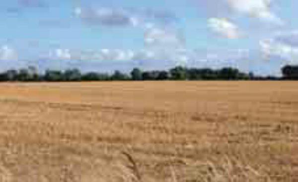 Farmer pays €15,100/acre for Athy farm Farmer pays €15,100/acre for Athy farm