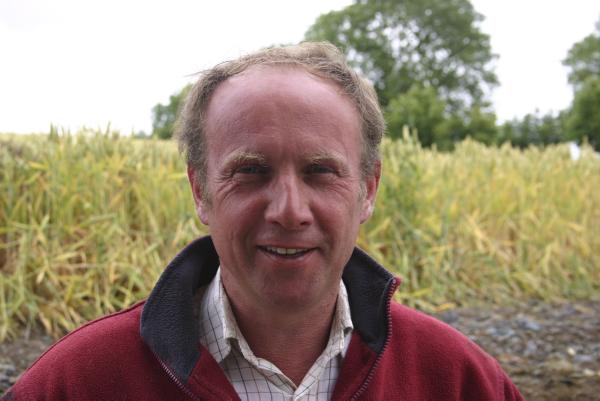Building myself a shepherd's hut as a winter pastime Building myself a shepherd's hut as a winter pastime