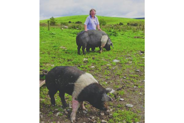 ‘I decided I wanted to get out and do something more sustainable’ ‘I decided I wanted to get out and do something more sustainable’