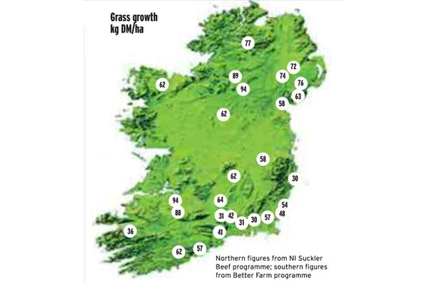 Reseeding and repairing of damaged swards Reseeding and repairing of damaged swards
