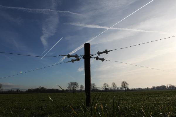 Dramatic changes ahead for agribusiness amidst global opportunities warns KPMG Dramatic changes ahead for agribusiness amidst global opportunities warns KPMG