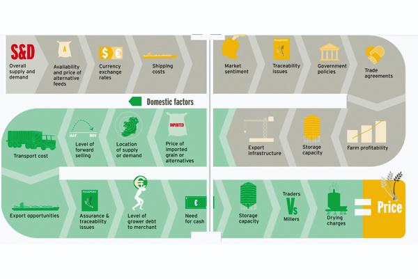 Who sets the grain market price? Who sets the grain market price?