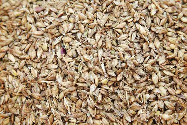 Who sets the grain market price? Who sets the grain market price?