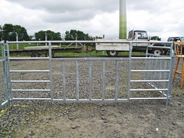 Eye catching features at NI sheep event Eye catching features at NI sheep event