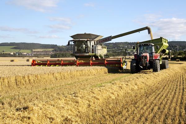 The specific weight dilemma The specific weight dilemma