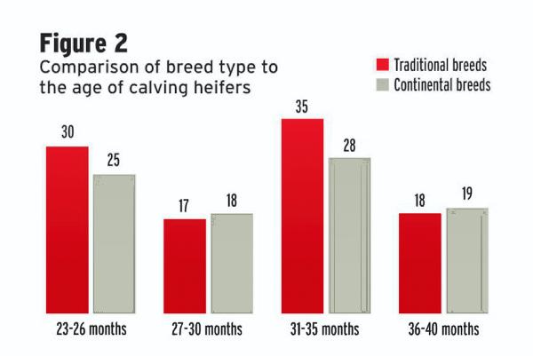 32 months average age of calving heifers: ICBF 32 months average age of calving heifers: ICBF