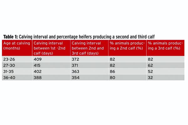 32 months average age of calving heifers: ICBF 32 months average age of calving heifers: ICBF