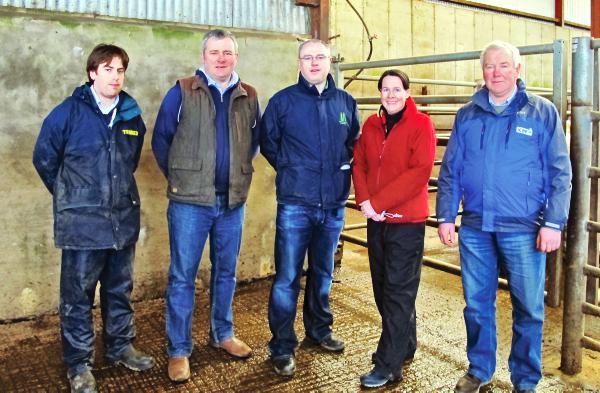Sourcing quality replacement heifers Sourcing quality replacement heifers