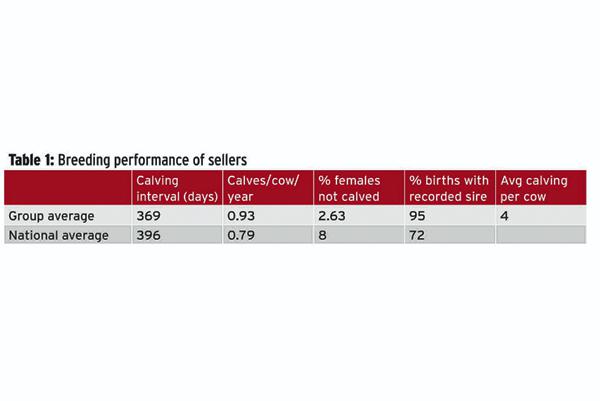 Sourcing quality replacement heifers Sourcing quality replacement heifers