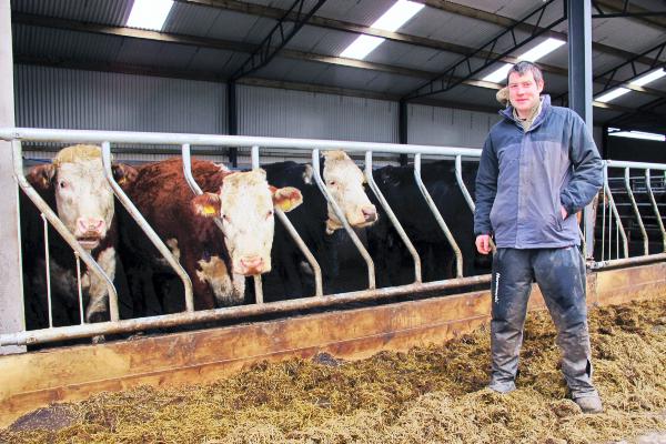 Suckler herd increases net profit by €290/cow Suckler herd increases net profit by €290/cow