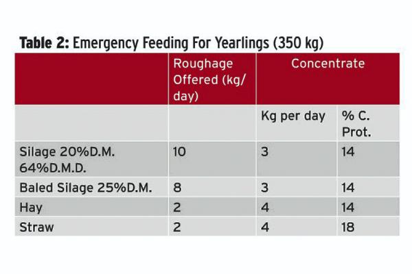 Filling the gap to grass Filling the gap to grass