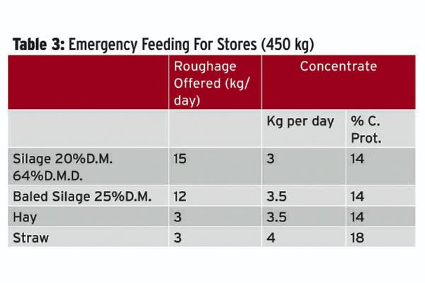 Filling the gap to grass Filling the gap to grass
