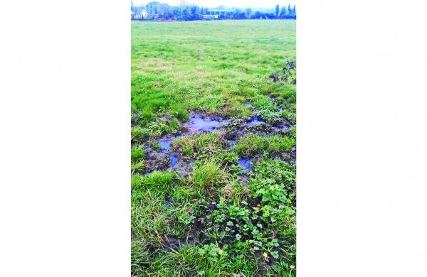 If the septic tank inspector arrives... If the septic tank inspector arrives...