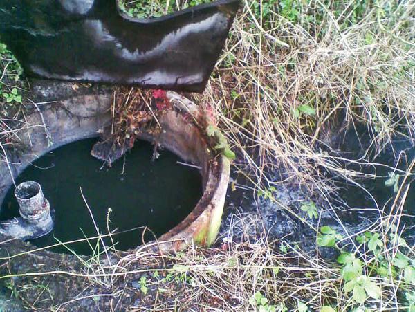 If the septic tank inspector arrives... If the septic tank inspector arrives...