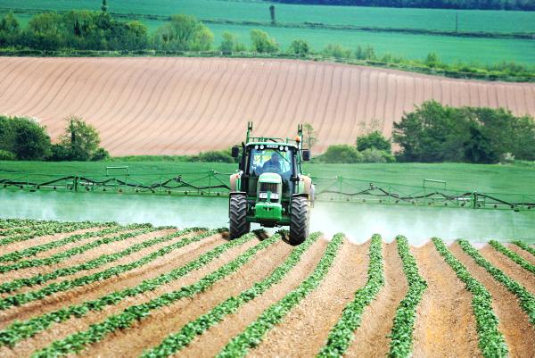 Controlling aphid-transmitted viruses Controlling aphid-transmitted viruses