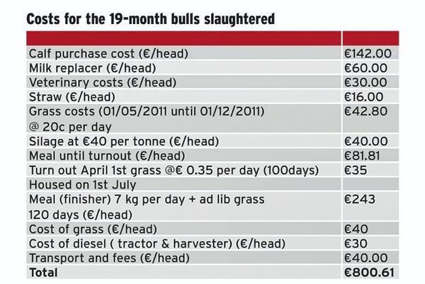 Housing time for dairy bulls Housing time for dairy bulls