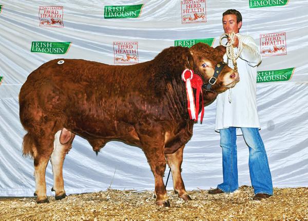 Mayo breeder takes junior title and top price of €9,600 Mayo breeder takes junior title and top price of €9,600