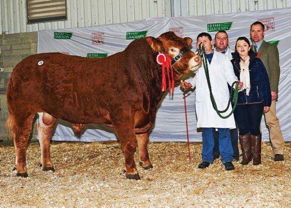 Mayo breeder takes junior title and top price of €9,600 Mayo breeder takes junior title and top price of €9,600