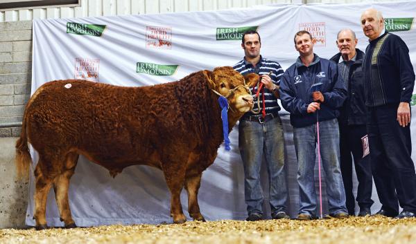 Mayo breeder takes junior title and top price of €9,600 Mayo breeder takes junior title and top price of €9,600