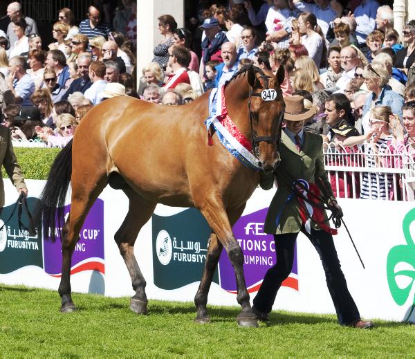 Marking twelve months of Showing Success Marking twelve months of Showing Success