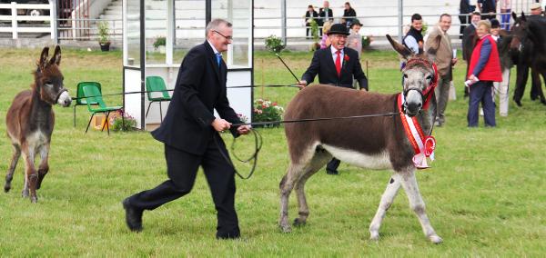 Marking twelve months of Showing Success Marking twelve months of Showing Success