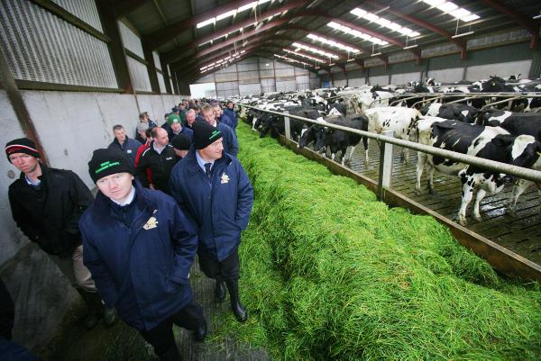 Top 10 videos from FarmersJournal.tv Top 10 videos from FarmersJournal.tv