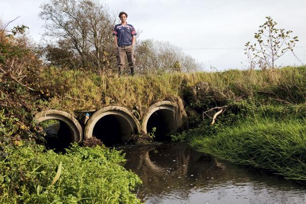 Choosing the right cow breed - what cow will suit post quota Ireland? Choosing the right cow breed - what cow will suit post quota Ireland?