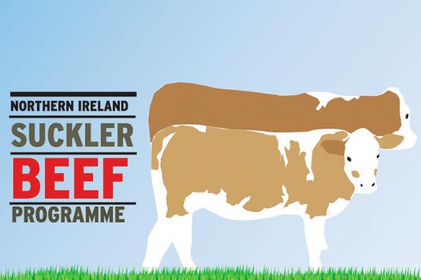 NISBP: Getting up to date with herd health NISBP: Getting up to date with herd health