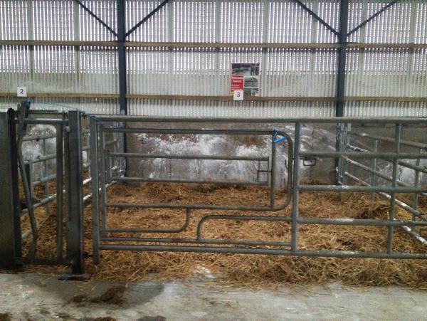 Derrypatrick herd update: Calving unit disinfected and ready for use - Free