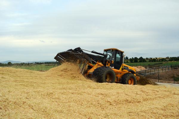 Grasswatch: Late January rains make field work impossible Grasswatch: Late January rains make field work impossible