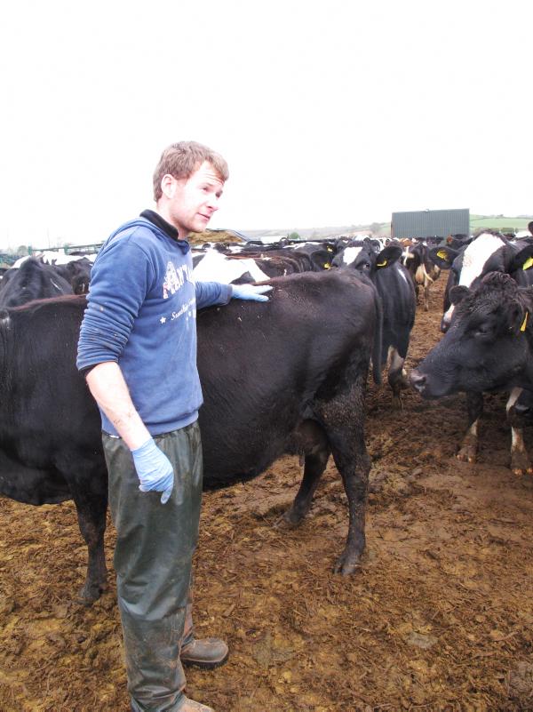 Grasswatch: Late January rains make field work impossible Grasswatch: Late January rains make field work impossible