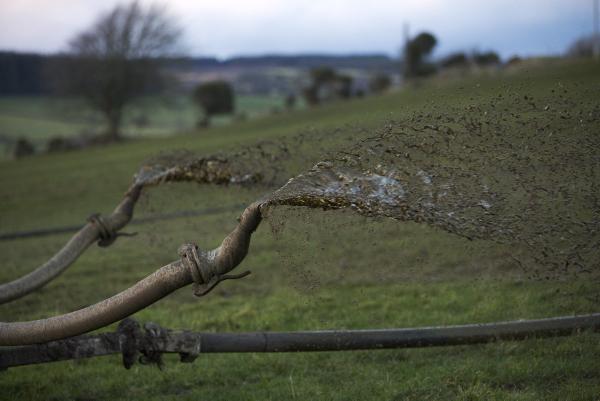 Grasswatch: Late January rains make field work impossible Grasswatch: Late January rains make field work impossible