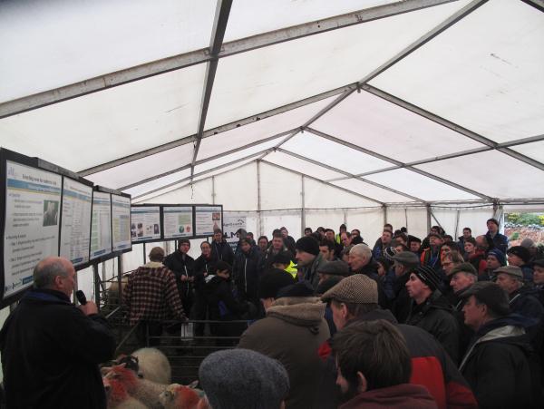 Tackling ewe efficency on the hills Tackling ewe efficency on the hills