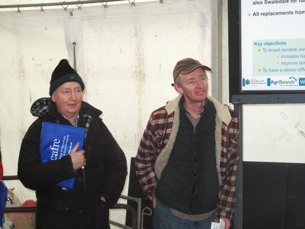 Tackling ewe efficency on the hills Tackling ewe efficency on the hills