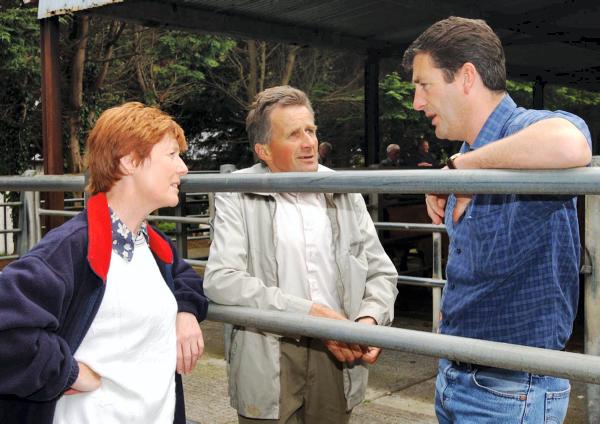 Ennistymon mart to be sold off Ennistymon mart to be sold off