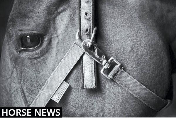 Eyes on the prizes at the weekend Eyes on the prizes at the weekend