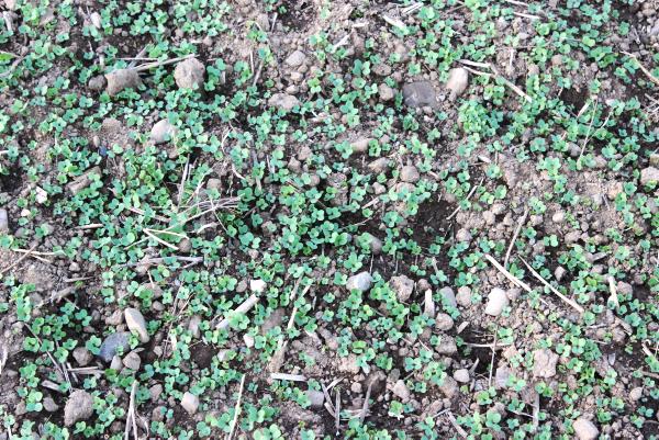 Important changes for pesticide users Important changes for pesticide users