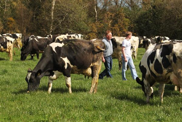 My Farming Week: Sam Rose, Linnanagh, Gorey, Co. Wexford My Farming Week: Sam Rose, Linnanagh, Gorey, Co. Wexford
