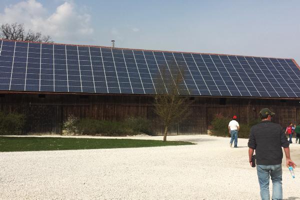 Farmer writes: Lessons from grain production for livestock producers Farmer writes: Lessons from grain production for livestock producers