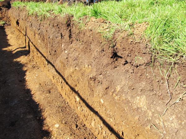 Archive: Maintaining optimum soil fertility – focus on offtake Archive: Maintaining optimum soil fertility – focus on offtake