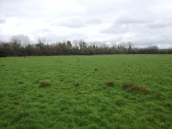 Carlow farm guided at €5,500/acre Carlow farm guided at €5,500/acre