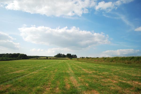 Carlow farm guided at €5,500/acre Carlow farm guided at €5,500/acre