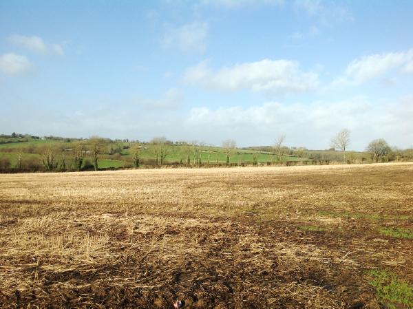 Carlow farm guided at €5,500/acre Carlow farm guided at €5,500/acre