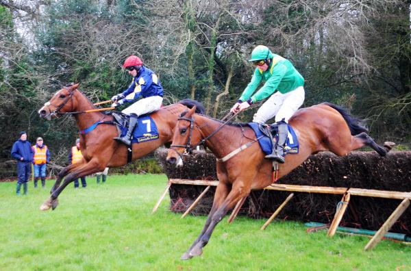 Irish pointers top the Brightwells Sale Irish pointers top the Brightwells Sale