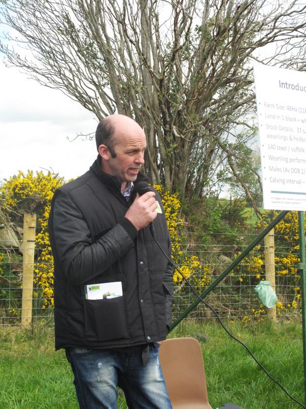 Farm walk on Charles Crawford's farm in Donegal Farm walk on Charles Crawford's farm in Donegal