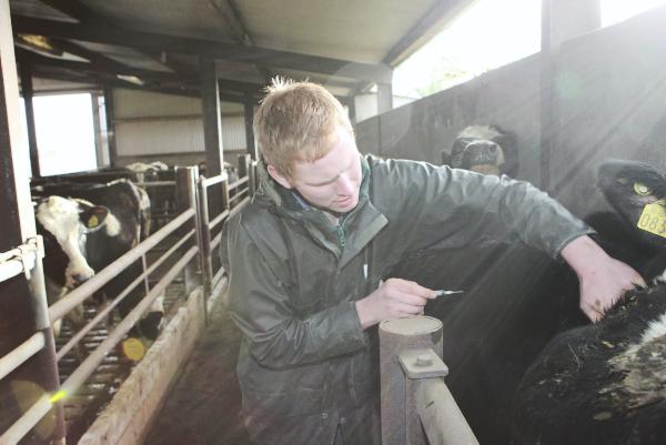 Farmer writes: Separating out sales talk from reputable advice is difficult Farmer writes: Separating out sales talk from reputable advice is difficult