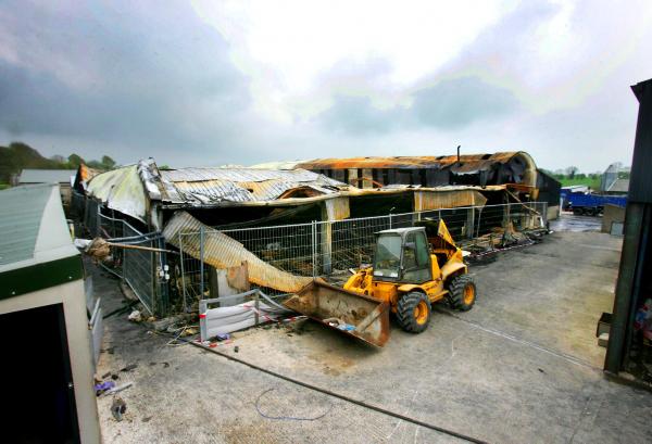 Pig fire most likely an accident Pig fire most likely an accident